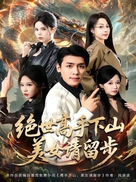 绝世高手下山，美女请留步全集