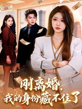 刚离婚，我的身份藏不住了全集