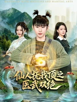 仙人抚我顶之医武双绝全集
