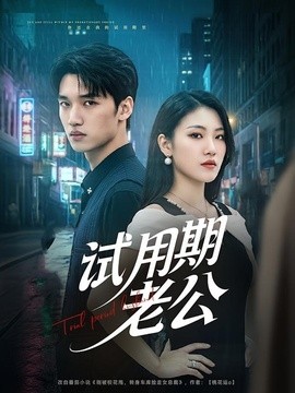 试用期老公全集