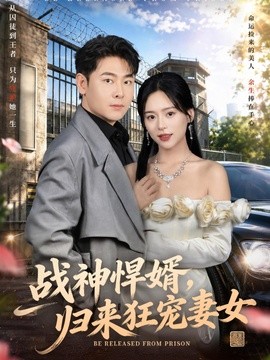 战神悍婿，归来狂宠妻女全集