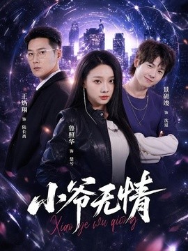 小爷无情全集
