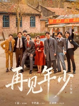 再见年少全集