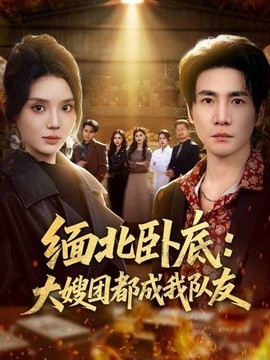 缅北卧底：大嫂团都成我队友全集