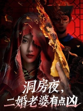 洞房夜，二婚老婆有点凶全集