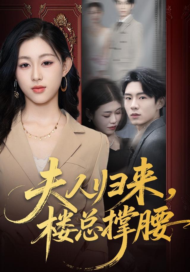 夫人归来，楼总撑腰全集