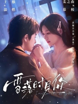 雪落时见你全集