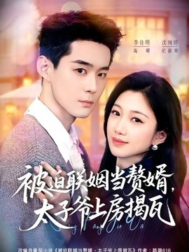被迫联姻当赘婿，太子爷上房揭瓦全集