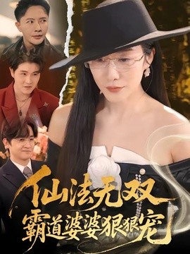仙法无双，霸道婆婆狠狠宠全集