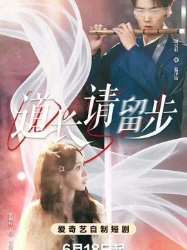 道长请留步全集