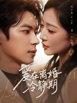 爱在离婚冷静期全集