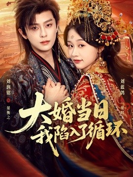 大婚当日，我陷入了循环全集