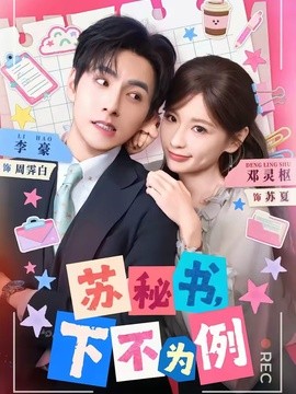 苏秘书，下不为例全集