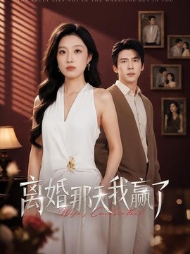 离婚那天我赢了全集