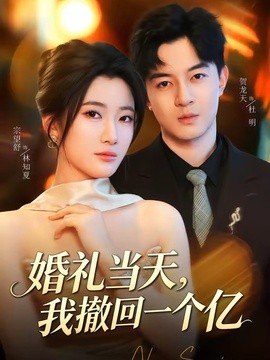 婚礼当天，我撤回一个亿全集