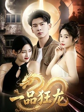 一品狂龙全集
