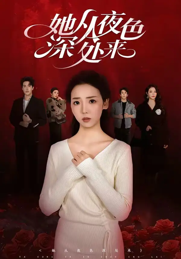 她从夜色深处来全集