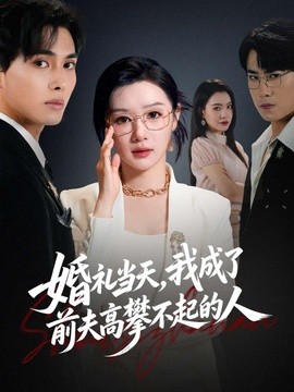 婚礼当天，我成了前夫高攀不起的人全集