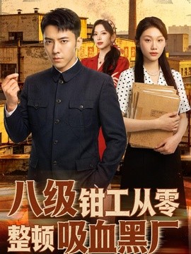 八级钳工从零整顿吸血黑厂全集