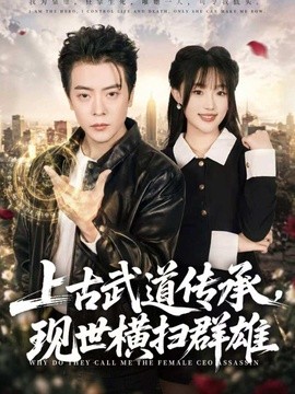上古武道传承，现世横扫群雄全集