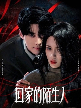 回家的陌生人全集