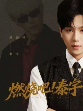 燃烧吧！泰宇全集