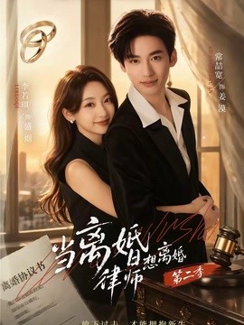 当离婚律师想离婚第二季全集