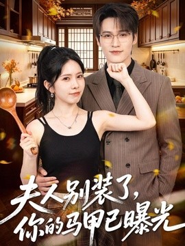 夫人别装了，你的马甲已曝光全集