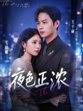 夜色正浓短剧全集