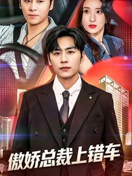 傲娇总裁上错车全集