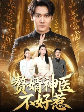 赘婿神医不好惹全集