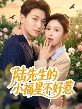 陆先生的小福星不好惹全集