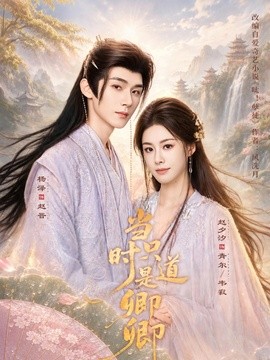 当时只道是卿卿全集