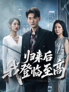 归来后我登临至高全集