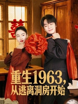 重生1963！从逃离洞房开始全集