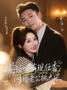 前任哪有现任香，闪婚老公挑大梁全集