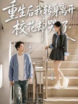 重生后我转身离开，校花却哭了全集