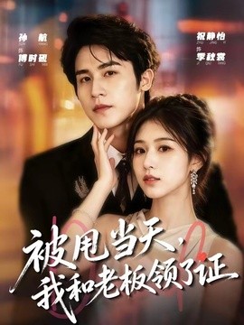 被甩当天，我和老板领了证全集