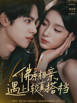 佛系相亲，遇上较真搭档全集