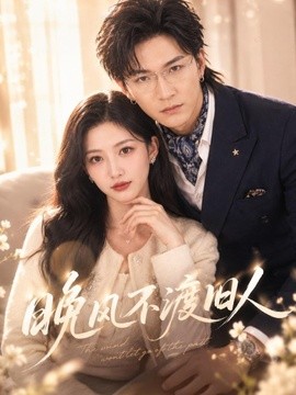 晚风不渡旧人全集