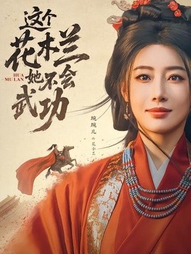 这个花木兰她不会武功全集