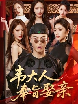 韦大人奉旨娶亲全集
