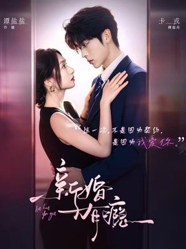 新婚有瘾全集
