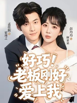 好巧！老板刚好爱上我全集