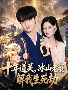 十年道关，冰山老婆解我生死劫全集