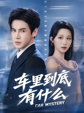 车里到底有什么全集