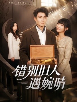 错别旧人遇婉晴全集