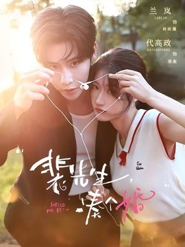 裴先生，凑个婚全集