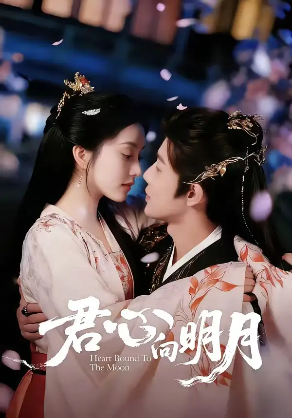 君心向明月全集