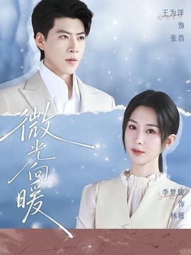 微光向暖全集